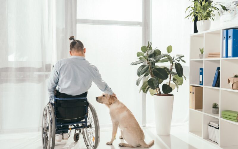 aytoanosa nosimata kai kinisi